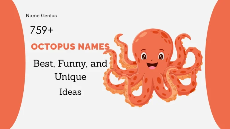 Octopus Names