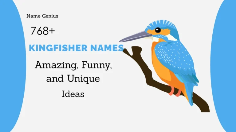 Kingfisher Names