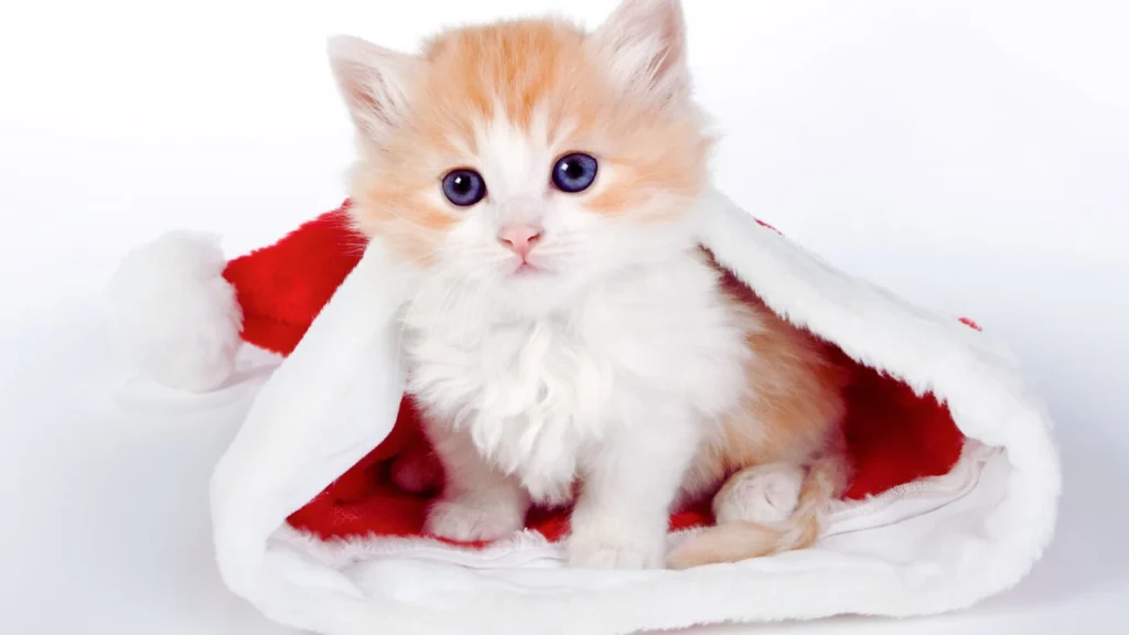 Cute Disney Cat Names