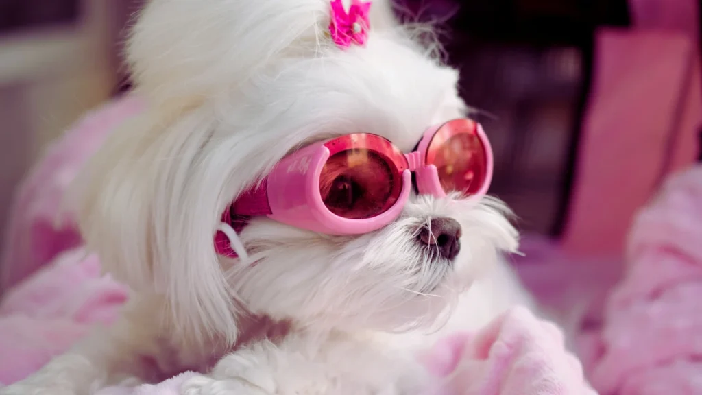 Unique and Cool Dog Names