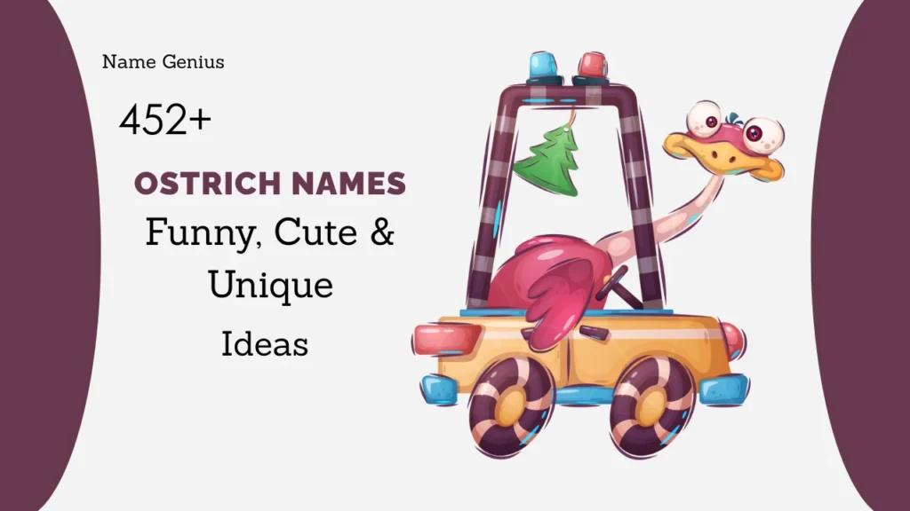 Ostrich Names