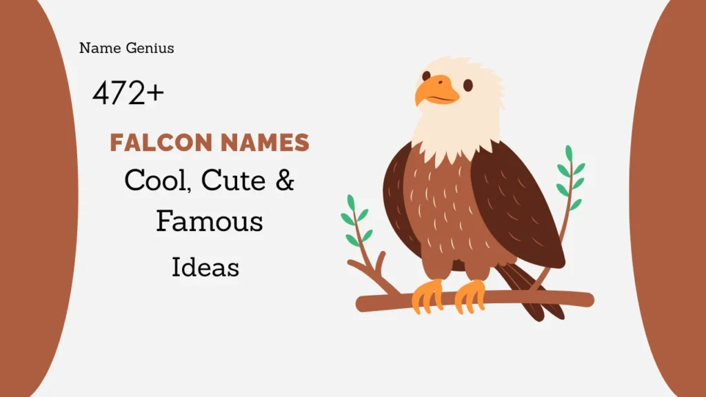 Falcon Names