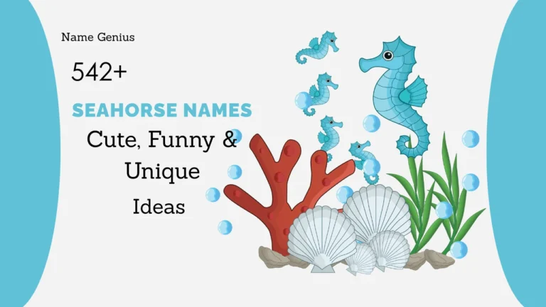 Seahorse Names