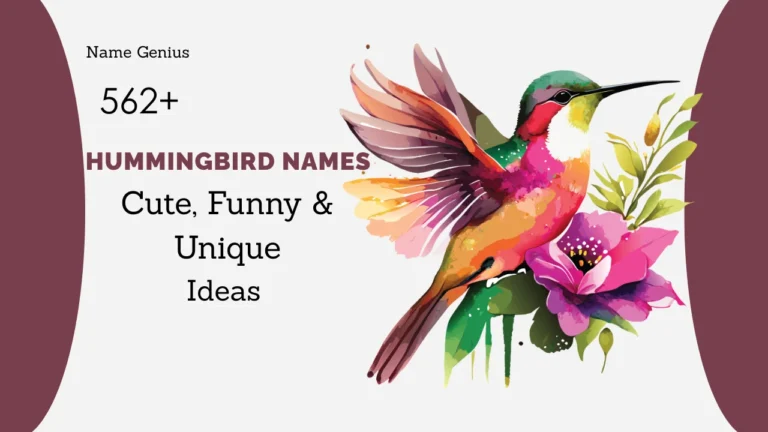 Hummingbird Names
