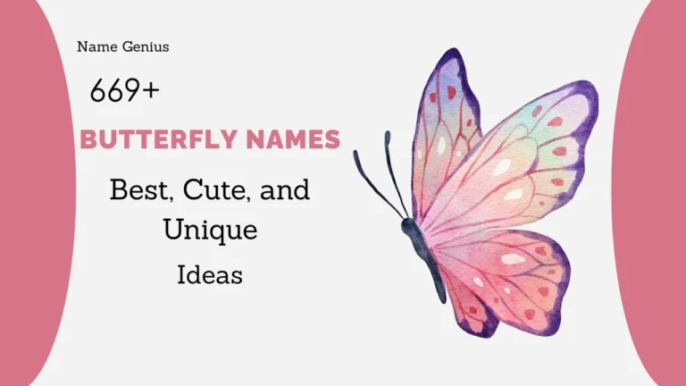 Butterfly Names