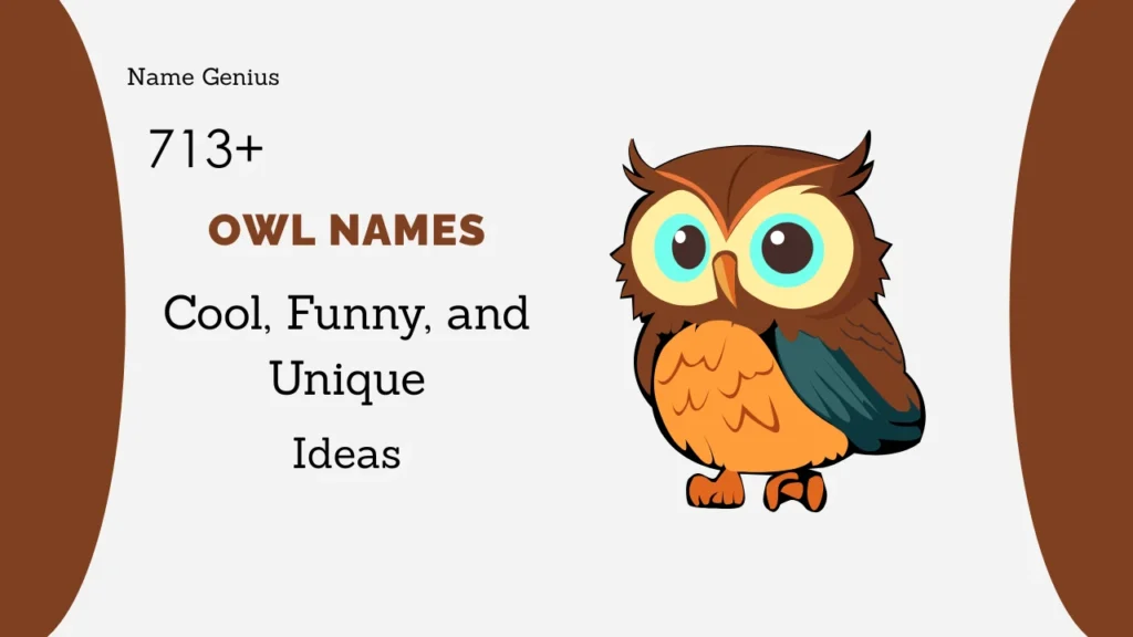 Owl Names