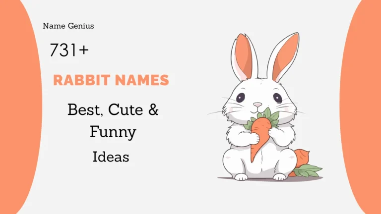 Rabbit Names