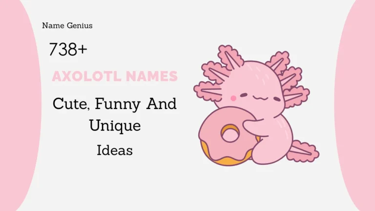 Axolotl Names