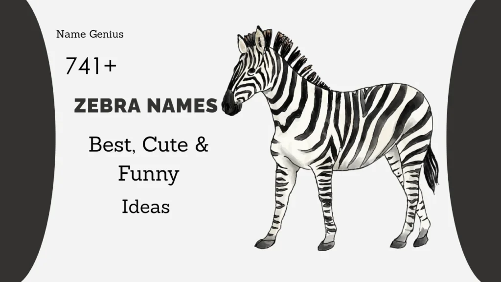 Zebra Names