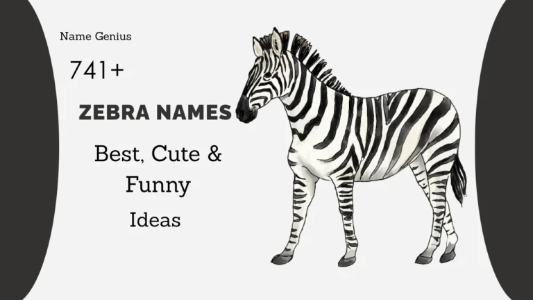 Zebra Names