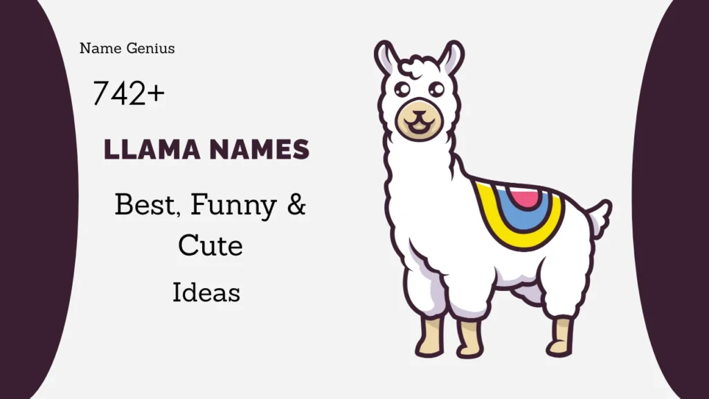 Llama Names