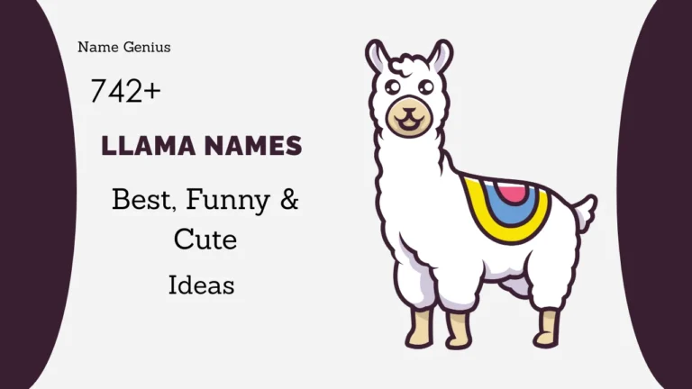 Llama Names
