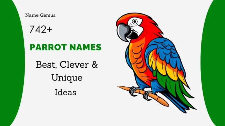 Parrot Names