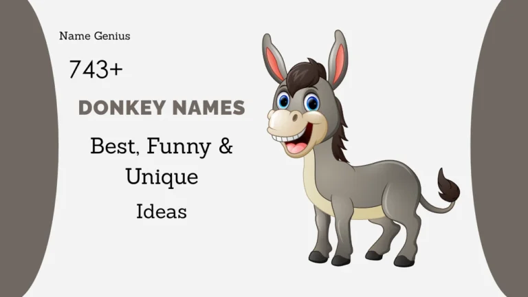 Donkey Names