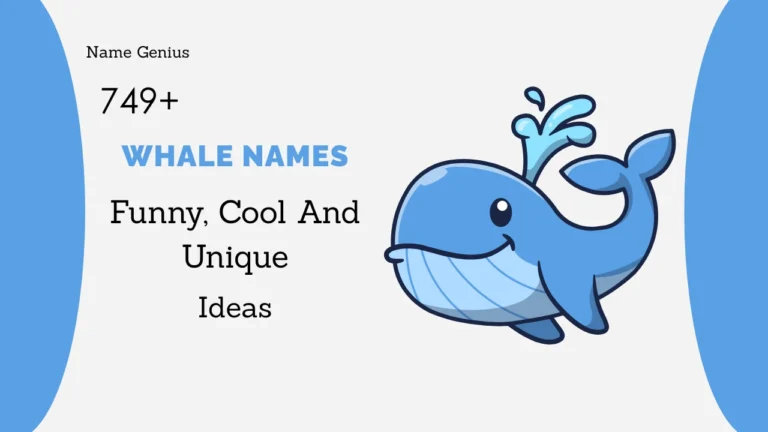 Whale Names