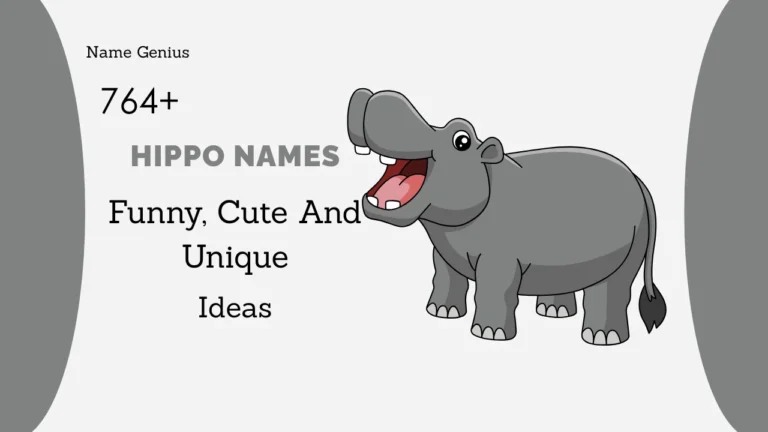 Hippo Names