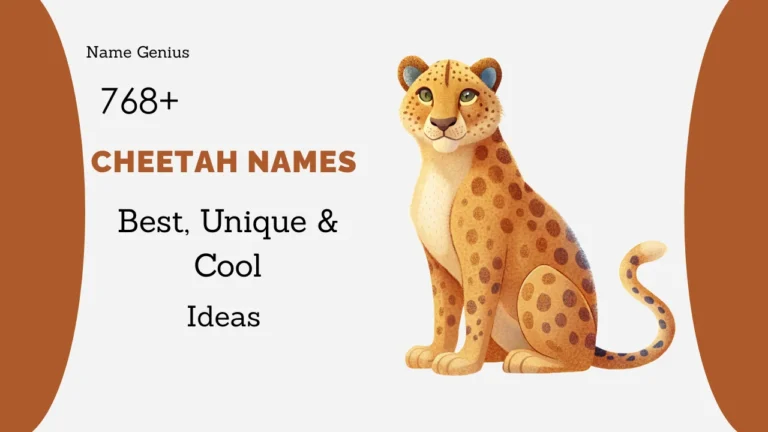 Cheetah Names