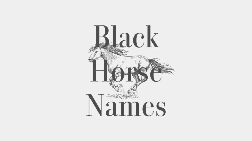 The current image has no alternative text. The file name is: black-horse-names-1.jpg