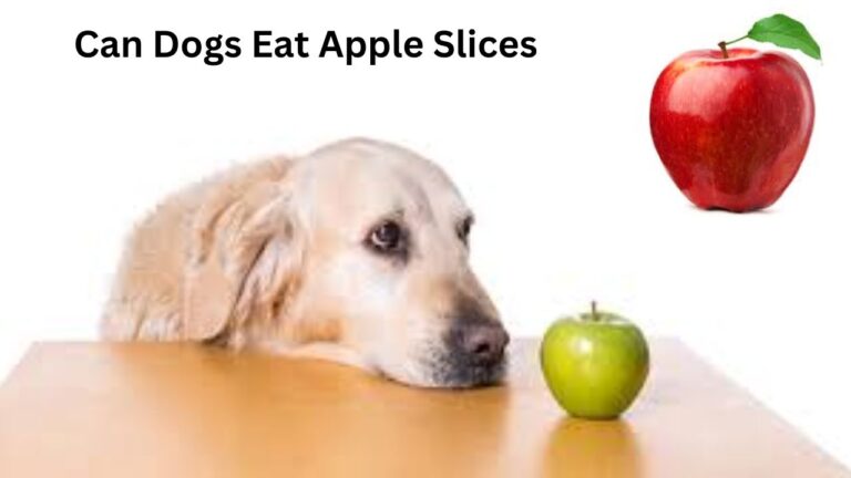 Can Dogs Eat Apple Slices (No Seeds)? A Healthy Treat Explained
